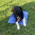 Dog cooling off outdoors on a GlacierPup mat in the grass on a hot sunny day