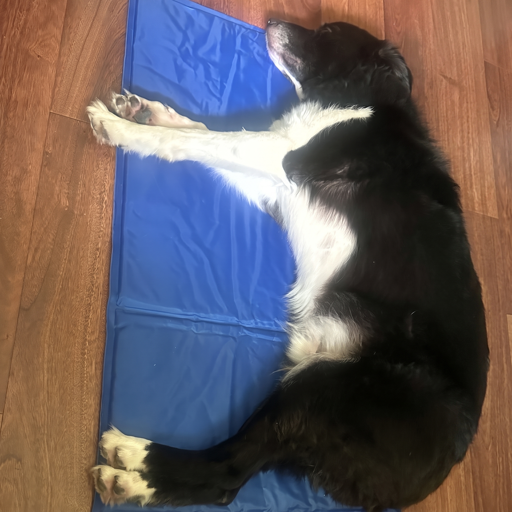Dog stretched out asleep on a GlacierPup cooling mat on a hardwood floor